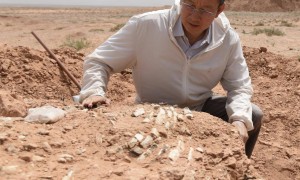 对话“草帽院士”徐星：世界上发现和命名恐龙种类最多的人，把科研写进教科书