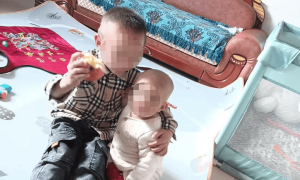 云南两兄妹被胡蜂蜇数百次身亡，家属：有网友质疑捅蜂窝导致，但警方说蜂窝是完整的