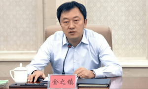 打虎！金之镇被查