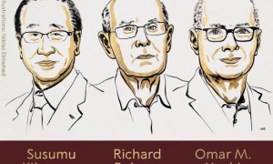 诺贝尔化学奖揭晓:金属有机框架有啥用?