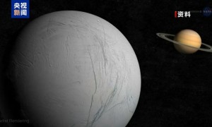 最新研究发现土卫二或可支持生命存在