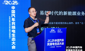 苏昕:技术创新,助力桩企成就世界级竞争力