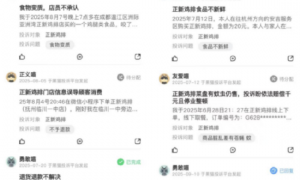 “鸡排哥”,火!正新鸡排,凉?