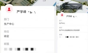 独家 | 宗馥莉两大“心腹”岗位变更:严学峰恢复生产总监职位,祝丽丹仍“待定”