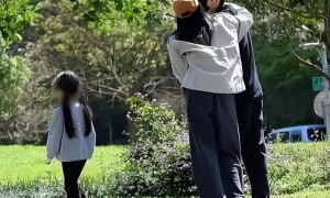 虽然都是45岁,高圆圆看上去不太自然,董洁被网友评价老得像58岁