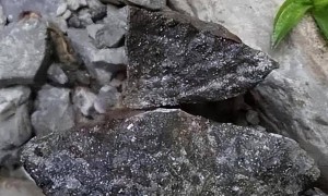 美国“急”的直冒汗!比稀土更关键,越南给中国送来一张“王牌”