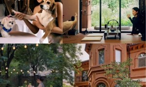 霍思燕夫妇和好友聚餐,穿单肩裙瘦出“小蛮腰”,牵三条狗真拉风