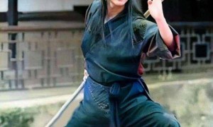 王晶疑暗讽刘德华不敬业:不懂功夫就用替身,不如郑少秋努力!