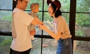 李亚鹏离婚是为避债?律师揭秘婚内债务迷局:得满足两个条件